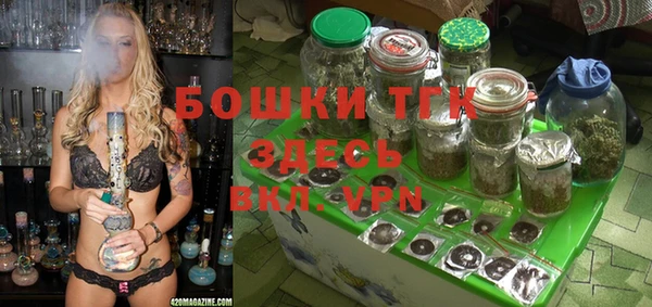 прущие грибы Майский