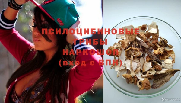 стаф Михайловск