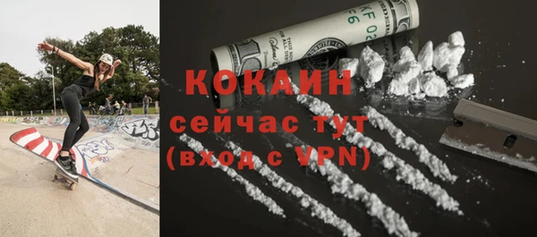 прущие грибы Майский