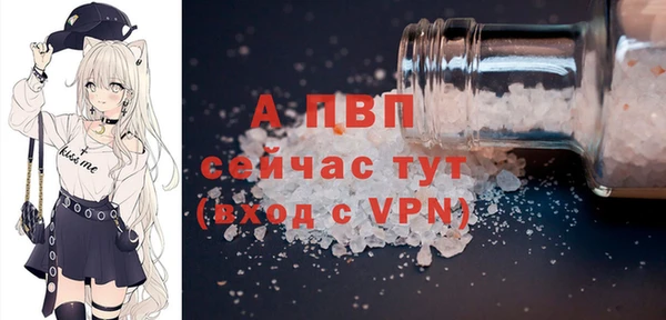 прущие грибы Майский